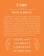 Coby personalized name art with origin story in orange