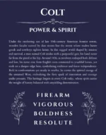 Colt personalized name art with origin story in navy blue