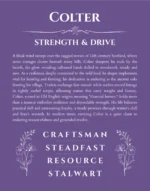 Colter personalized name print with origin and traits in purple