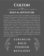 Colton custom name print for wall display in gray