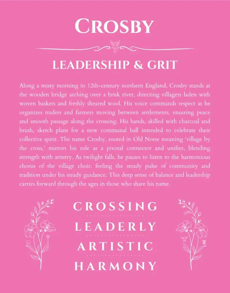 Crosby personalized name art with origin story in pink