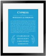 Cypress personalized name meaning print in blue with black matte frame