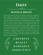 Daisy personalized name print with origin and traits in dark green