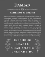 Damian personalized wall art with the story of your name in gray