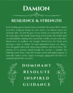 Damion name origin print with meaning and traits in dark green