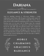 Dariana name meaning wall art by Get Your Story in gray