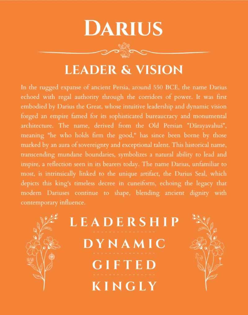 Darius name meaning gift print in orange