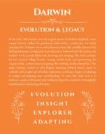 Darwin personalized wall art with the story of your name in orange
