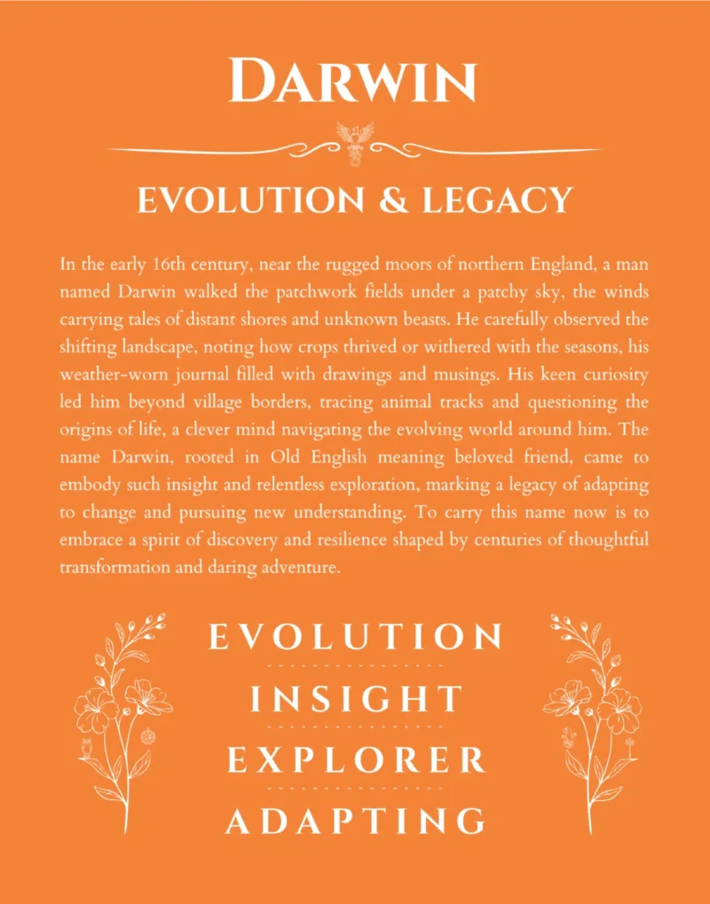 Darwin personalized wall art with the story of your name in orange