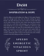 Dash custom name meaning print in navy blue