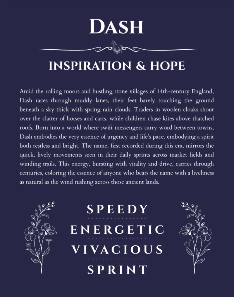 Dash custom name meaning print in navy blue