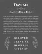 Davian personalized name print with origin and traits in gray
