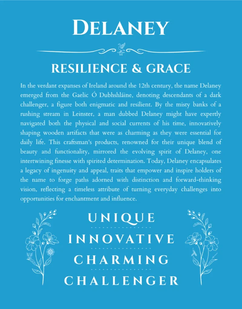 Delaney personalized name art with origin story in blue