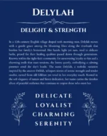 Delylah name origin print with meaning and traits in deep blue
