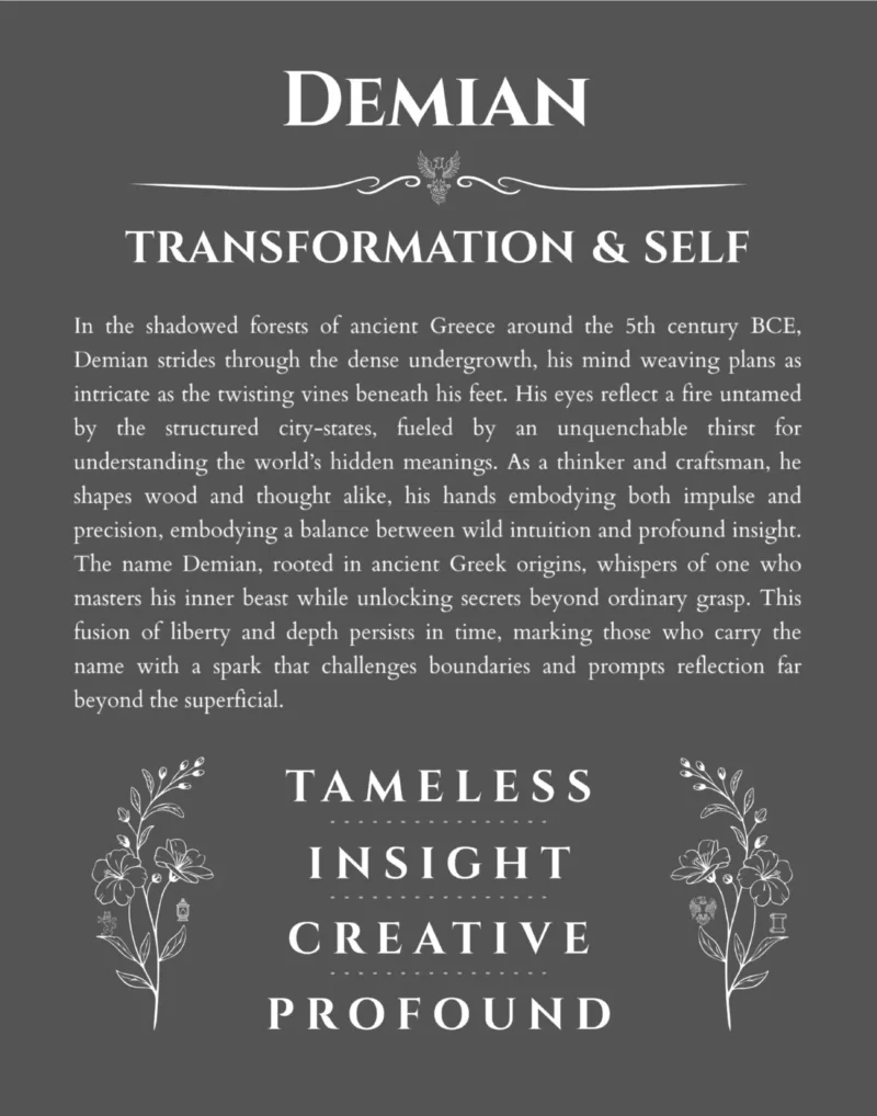 Demian personalized name print with origin and traits in gray