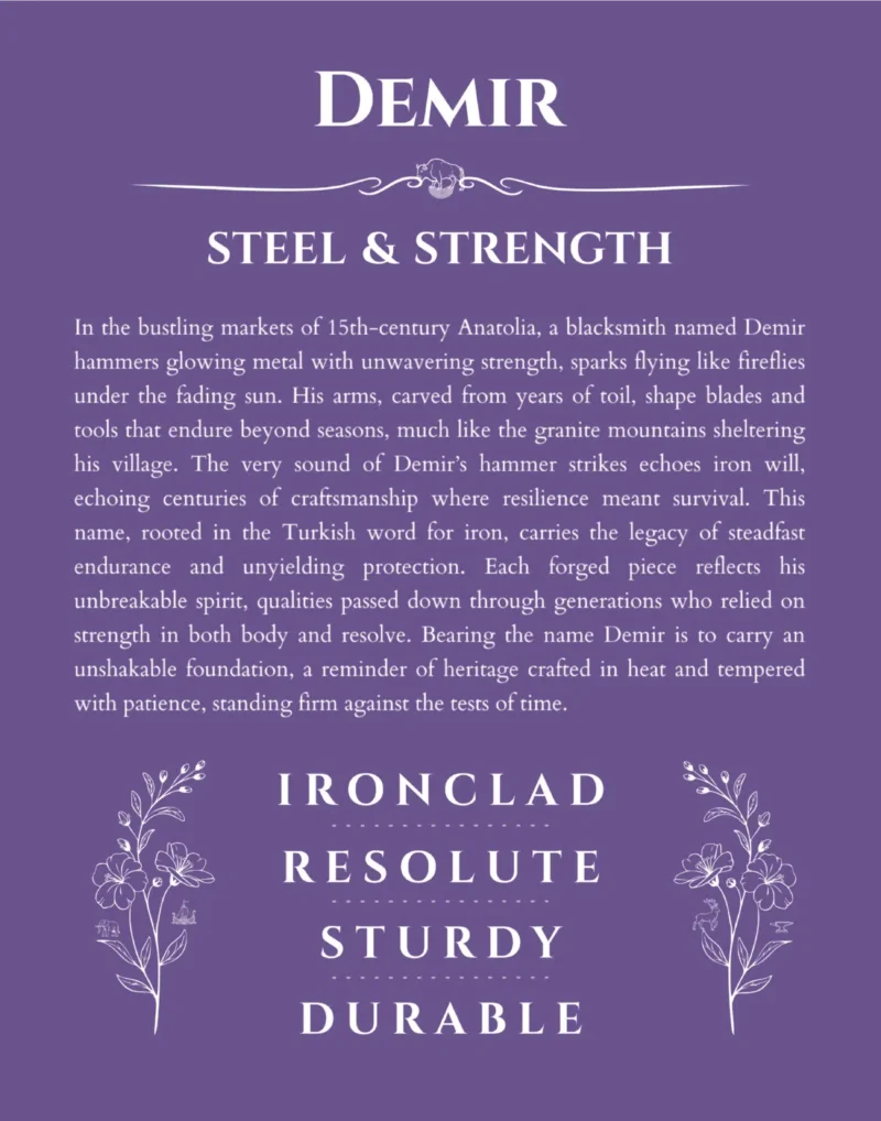 Demir custom name print for wall display in purple