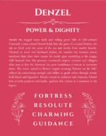 Denzel personalized name print with origin and traits in red