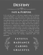 Destiny personalized wall art with the story of your name in gray