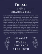 Dilan personalized name art with origin story in navy blue