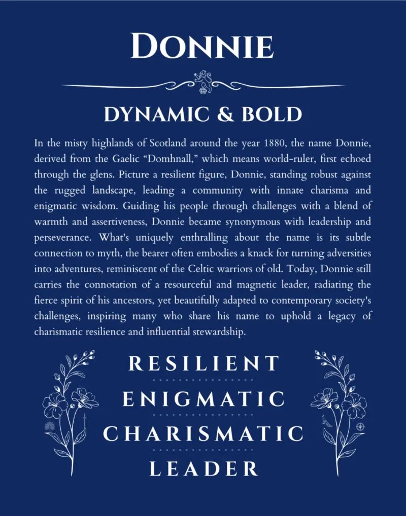 Donnie personalized name print with origin and traits in deep blue