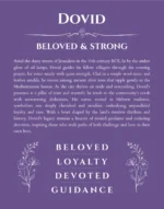 Dovid name origin print with meaning and traits in purple