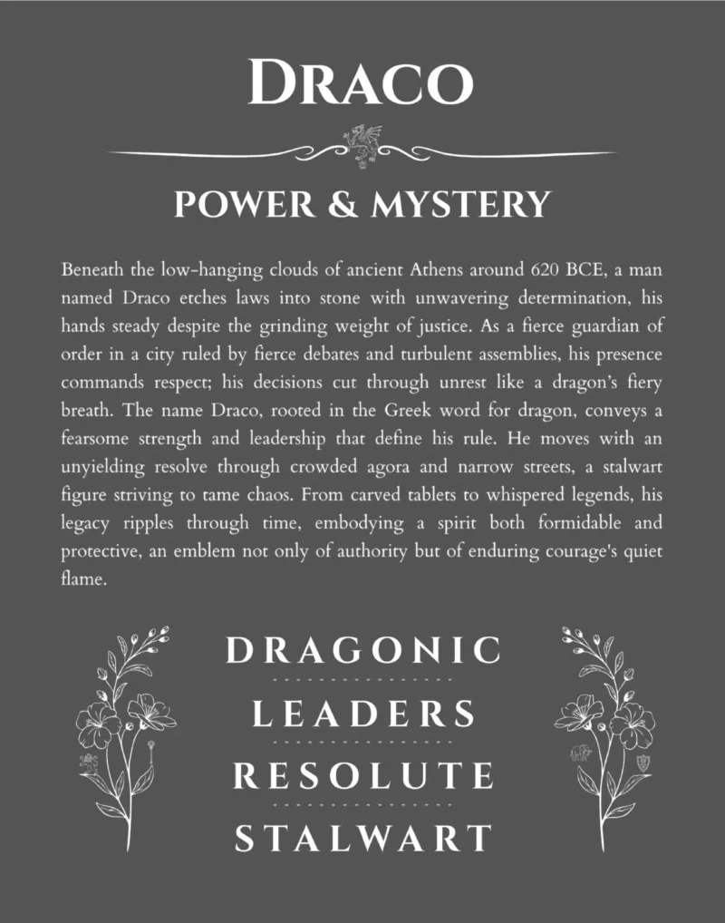 Draco personalized name print with origin and traits in gray