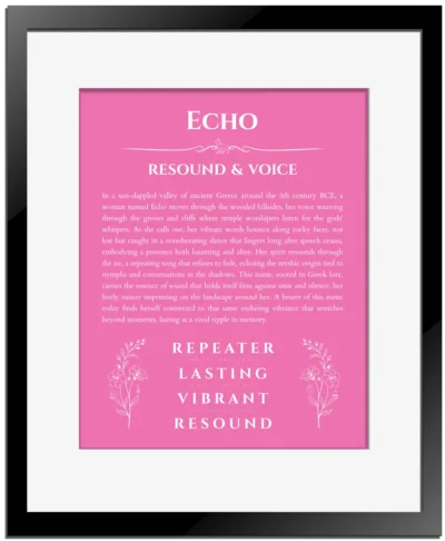 Echo personalized name art with origin story in pink with black matte frame