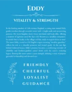 Eddy custom name art showing meaning and origin in blue