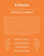 Efraim personalized name art with origin story in orange