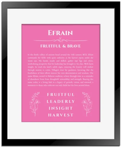 Efrain custom name art showing meaning and origin in pink with black matte frame
