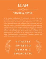 Elan personalized name meaning print in orange
