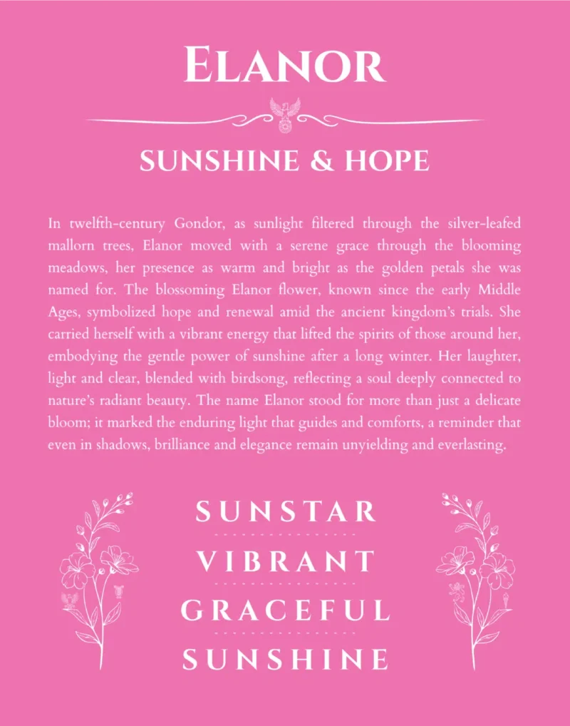 Elanor custom name art showing meaning and origin in pink