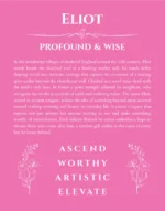 Eliot personalized name art with origin story in pink