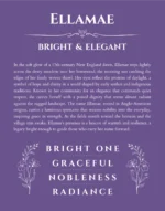 Ellamae personalized name art with origin story in purple