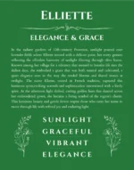 Elliette personalized wall art with the story of your name in dark green