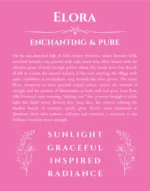 Elora name meaning gift print in pink