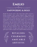 Emilio name meaning gift print in purple
