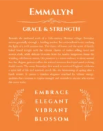 Emmalyn personalized name art with origin story in orange