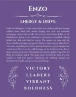 Enzo personalized name art with origin story in purple