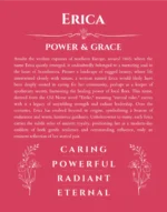 Erica personalized name art with origin story in red