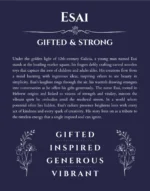 Esai personalized name meaning print in navy blue