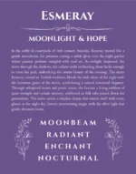 Esmeray personalized wall art with the story of your name in purple
