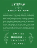 Estevan personalized wall art with the story of your name in dark green