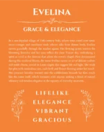 Evelina custom name art showing meaning and origin in orange