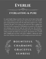 Everlie name meaning gift print in gray