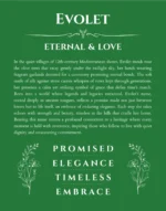 Evolet personalized name meaning print in dark green