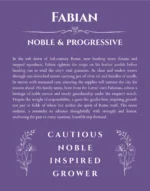Fabian personalized name print with origin and traits in purple