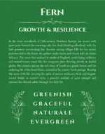 Fern name meaning gift print in dark green