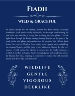 Fiadh custom name meaning print in deep blue