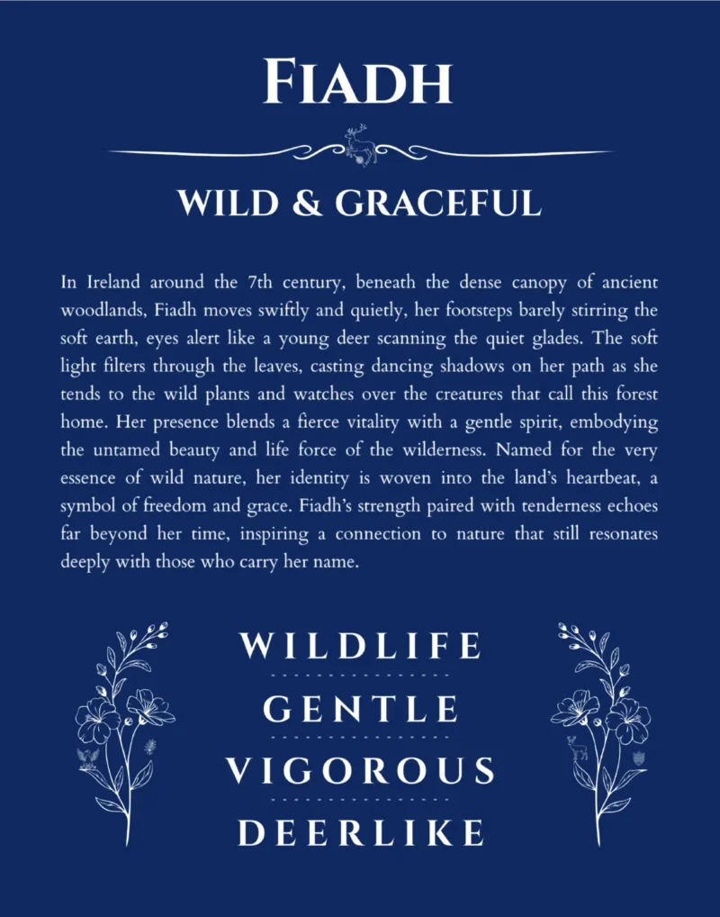 Fiadh custom name meaning print in deep blue